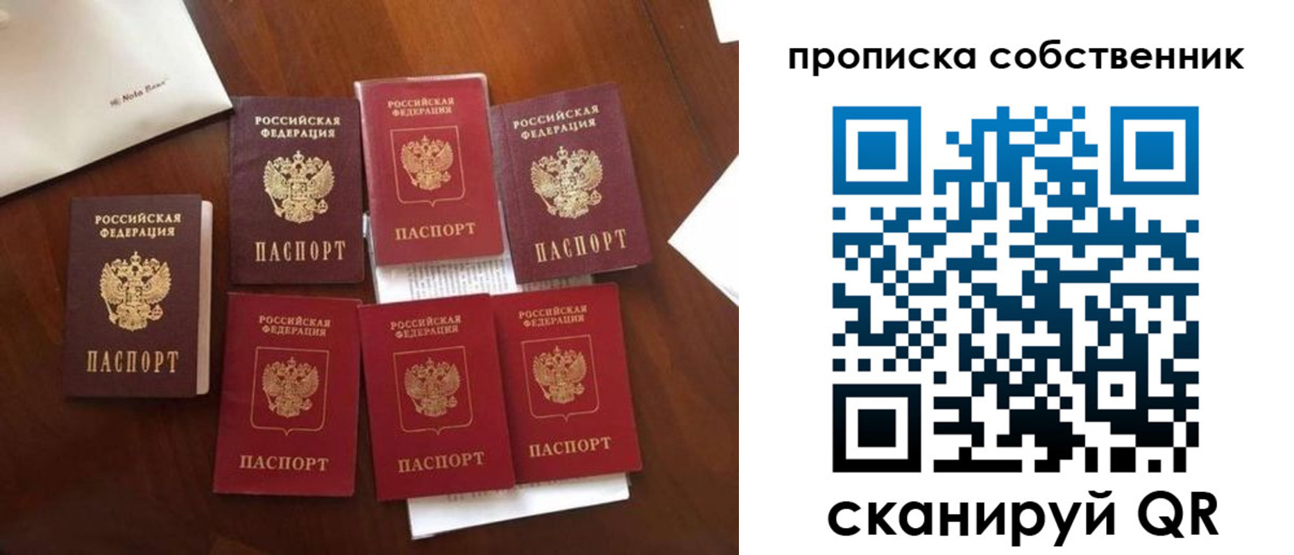 прописка для школы в Курганской области